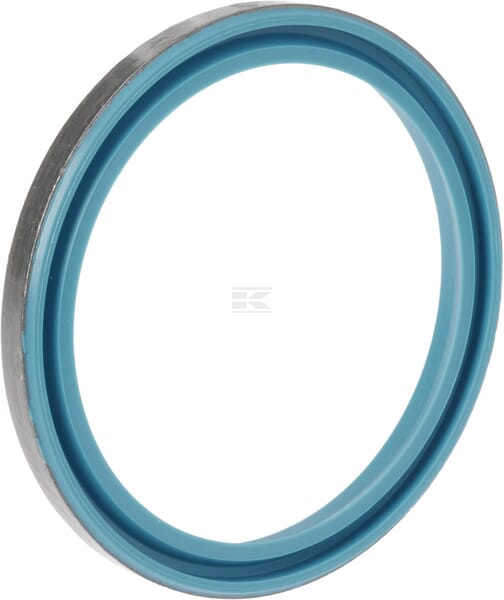Dichtring