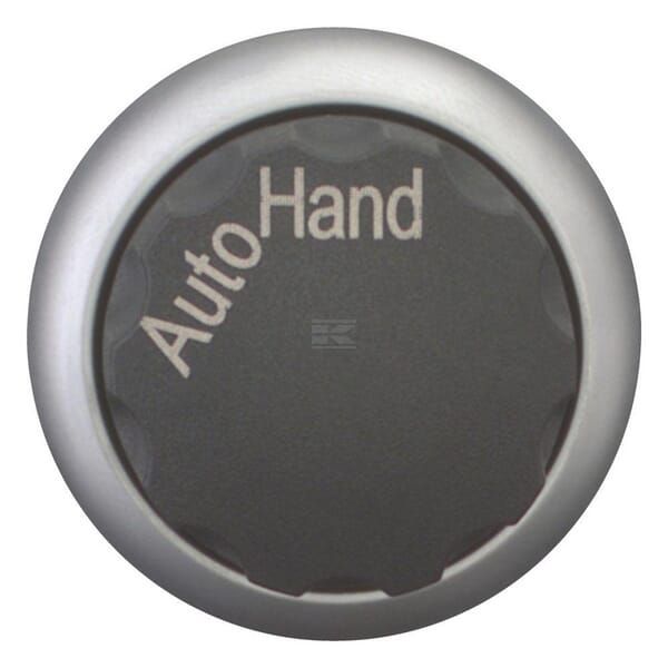 Wahltaste rastend Hand Auto