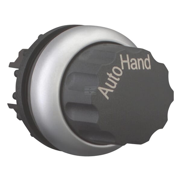 Wahltaste rastend Hand Auto