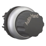 Wahltaste rastend Hand Auto