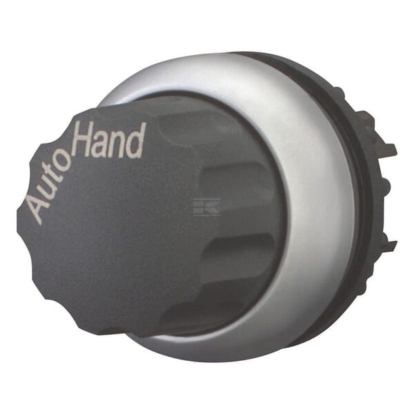 Wahltaste rastend Hand Auto