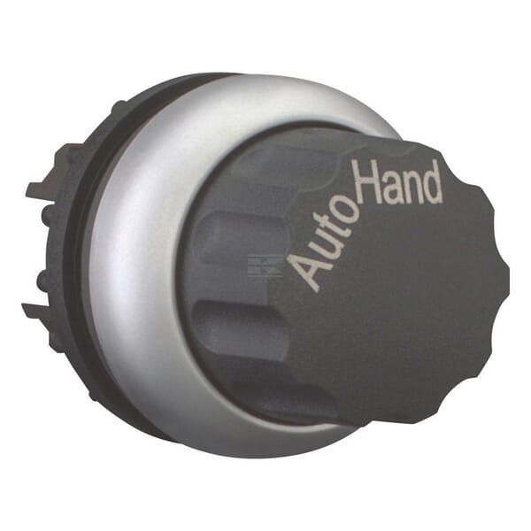Wahltaste rastend Hand Auto