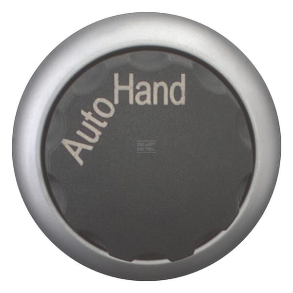 Wahltaste rastend Hand Auto