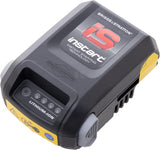 Akku 592908 15,7 Li-Ion Briggs & Stratton