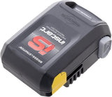 Akku 592908 15,7 Li-Ion Briggs & Stratton