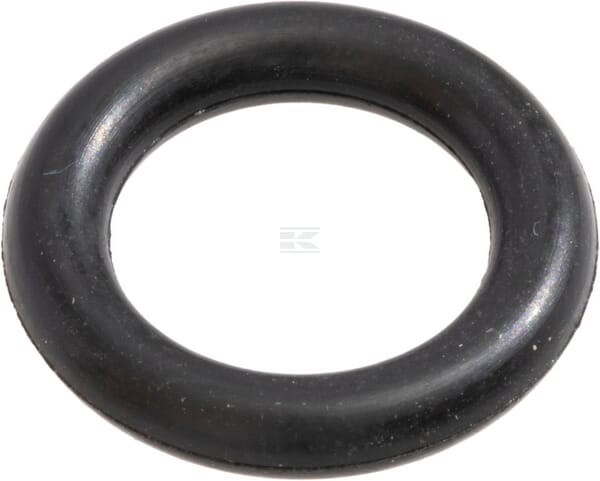 Dichtring
