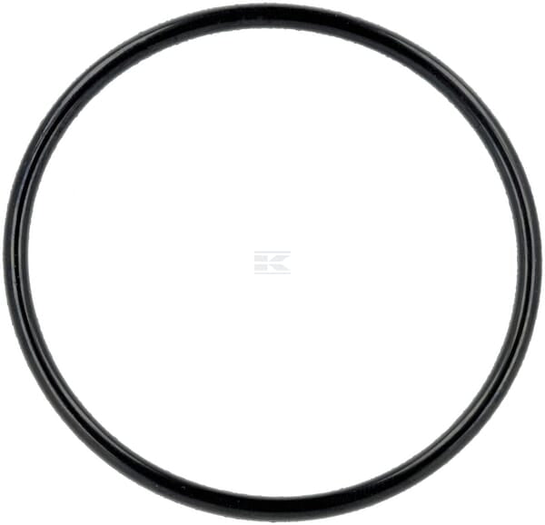 O-Ring 55x3,1