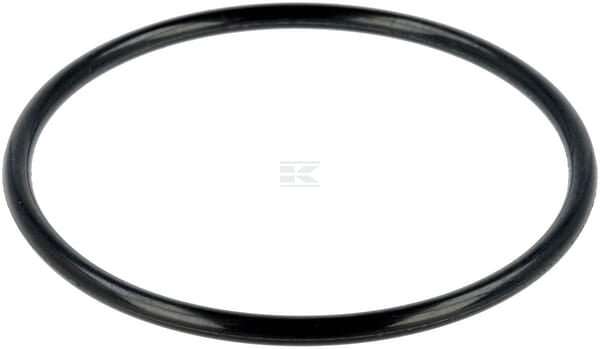 O-Ring 55x3,1
