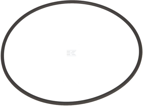 Filter O-Ring 101,27x2,62