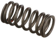 Ventilfeder des Motors