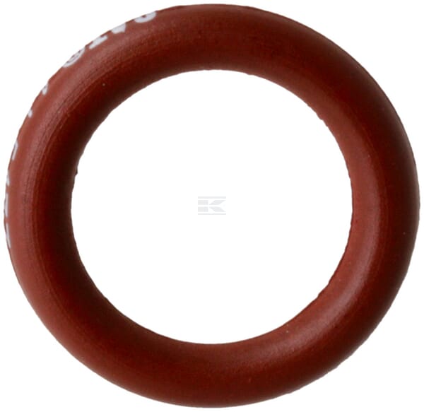 Dichtring