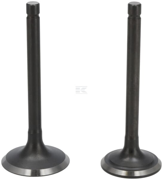 Ventilsatz