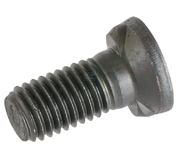 Pflugschr. m. 2-Na. M12x30 10.9
