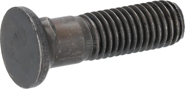 Pflugschr. m. 2-Na. M12x45 10.9