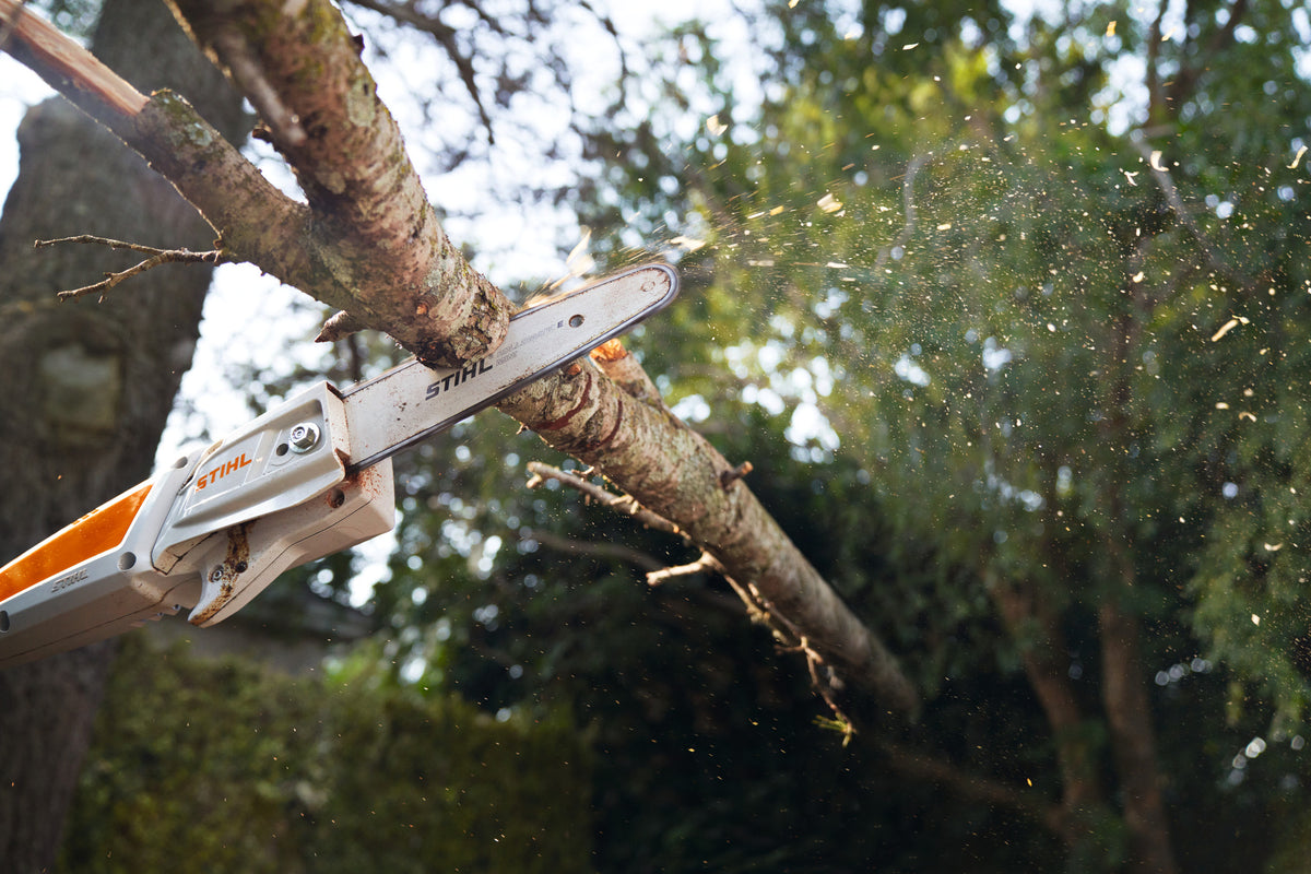 STIHL HTA 50, PM3, Schienenlänge 25 cm