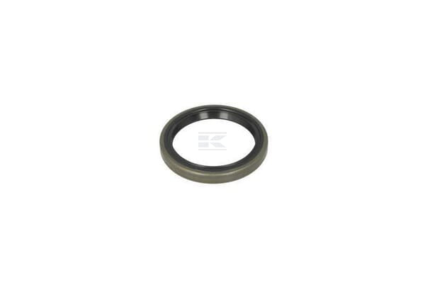 Dichtungsring B1KLUD3SL 55x70x8 75NBR