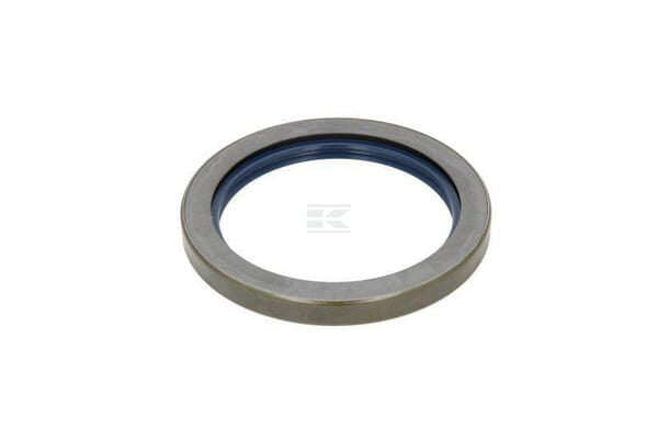 Dichtungsring, Differential B2U5SL 100x130x13 72NBR