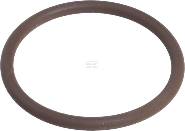 O-Ring