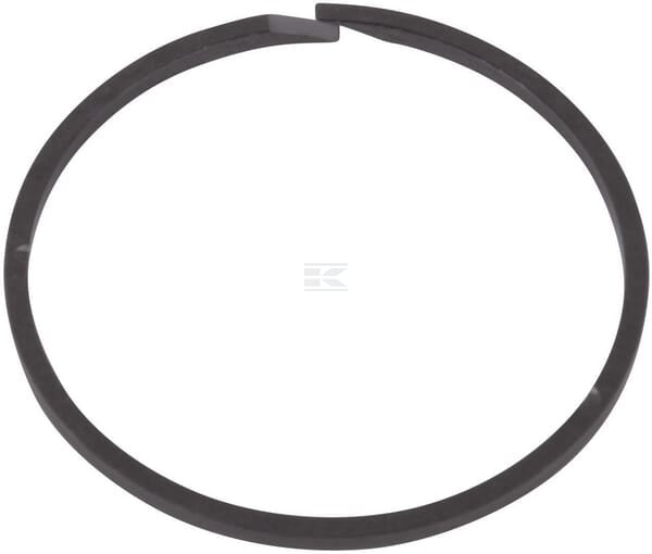 Dichtring