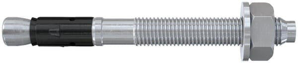 FISCHER FAZ II Plus 10/30 EV (10x115) 25 Stk.