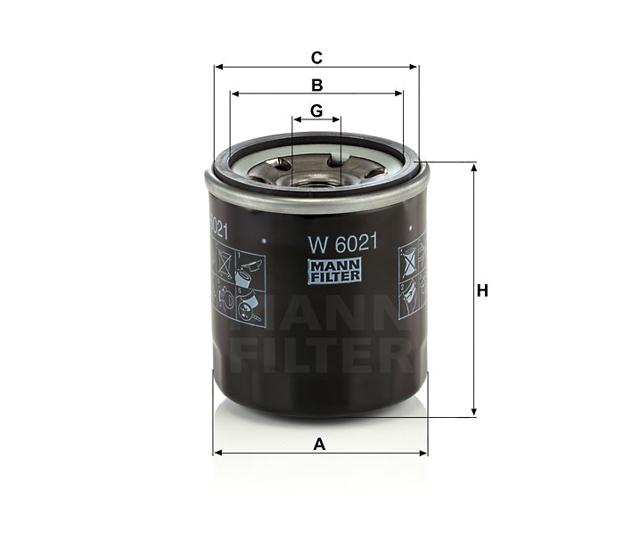 W 6021 Wechselfilter