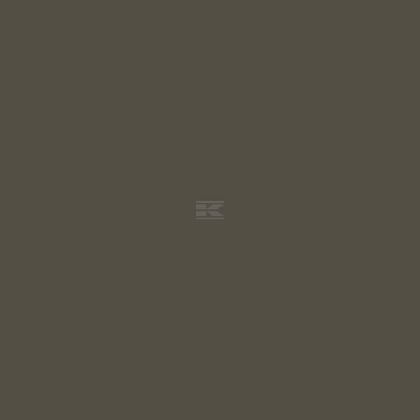 RAL 6014 Gelboliv matt 1 L