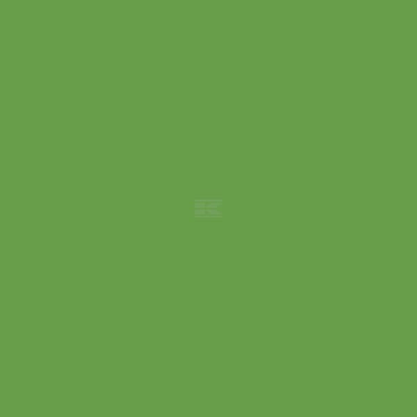 RAL 6018 Gelbgrün 1 L