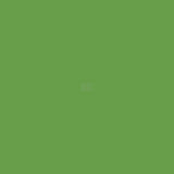 RAL 6018 Gelbgrün 1 L