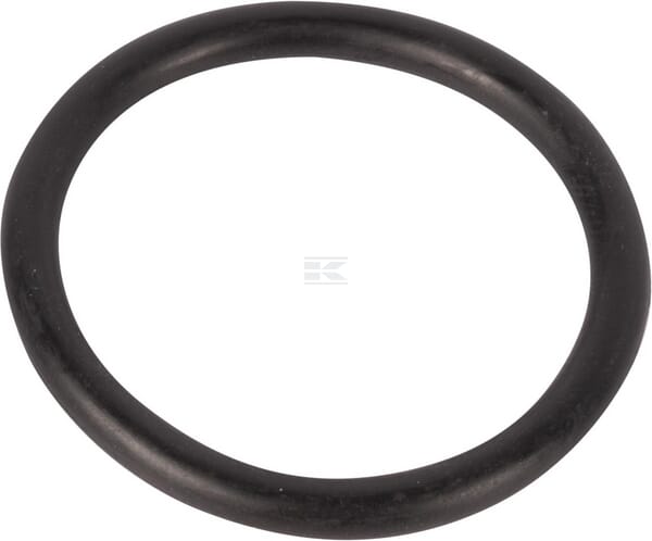 O-Ring