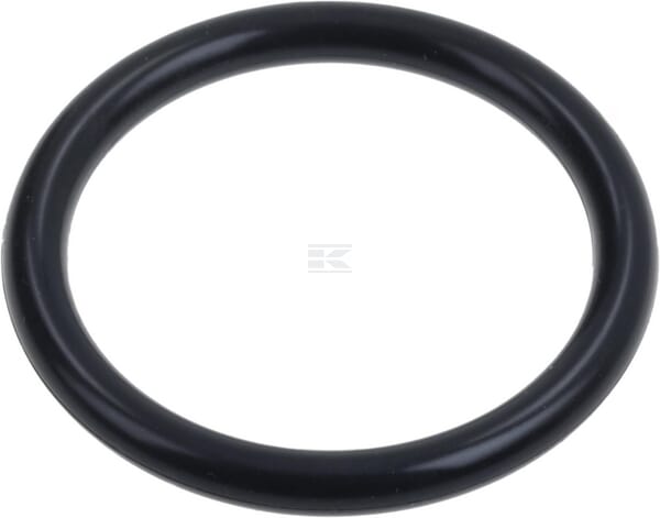 O-Ring