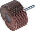 Lamellenstift 60 x 30 x 6 K150