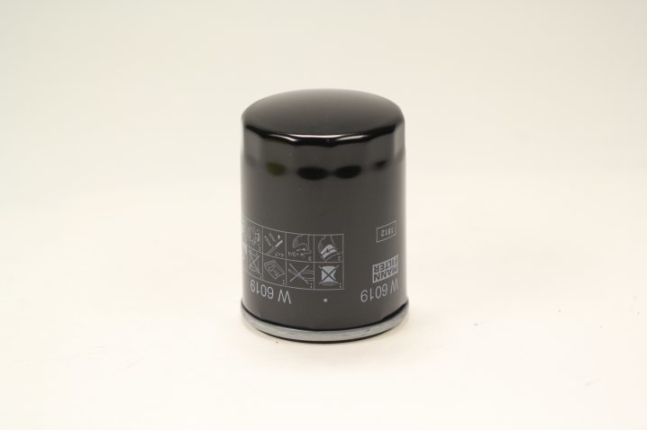W 6019 Wechselfilter