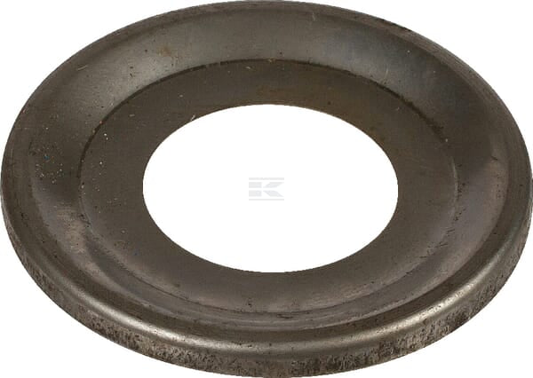 Dichtungsring