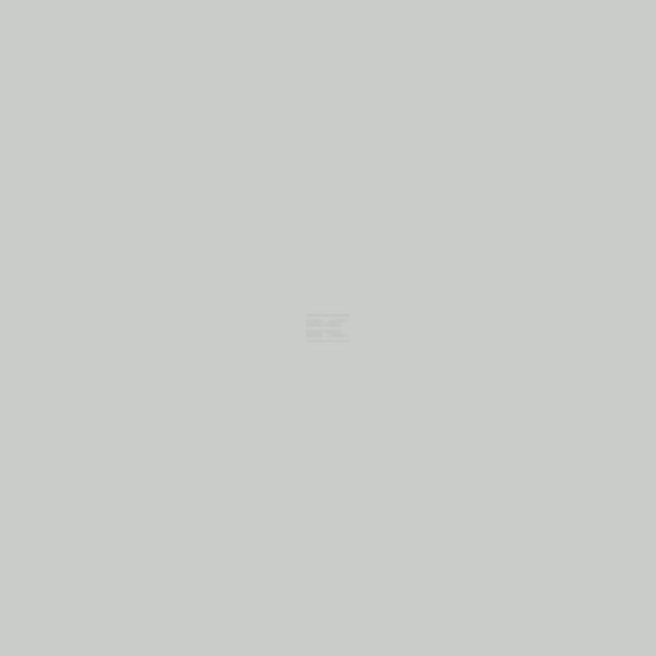 RAL 7035 Lichtgrau 1 L