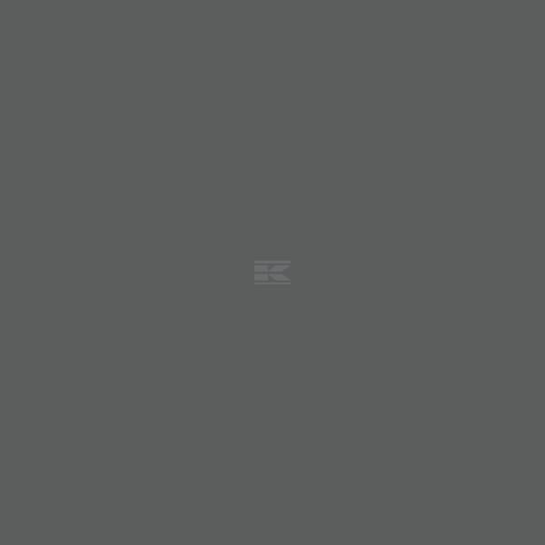 RAL 7043 Verkehrsgrau B 400 ml