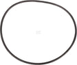 O-Ring