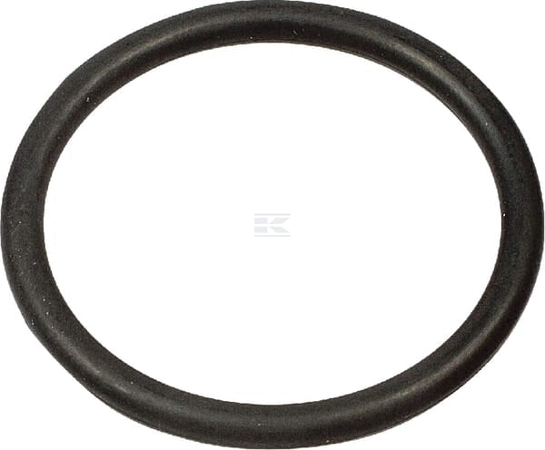O-Ring