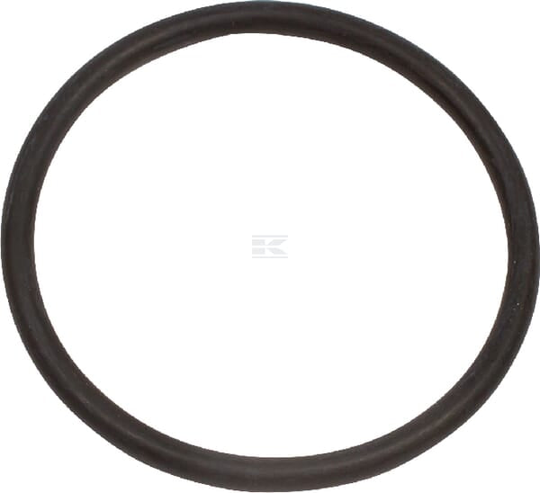 O-Ring