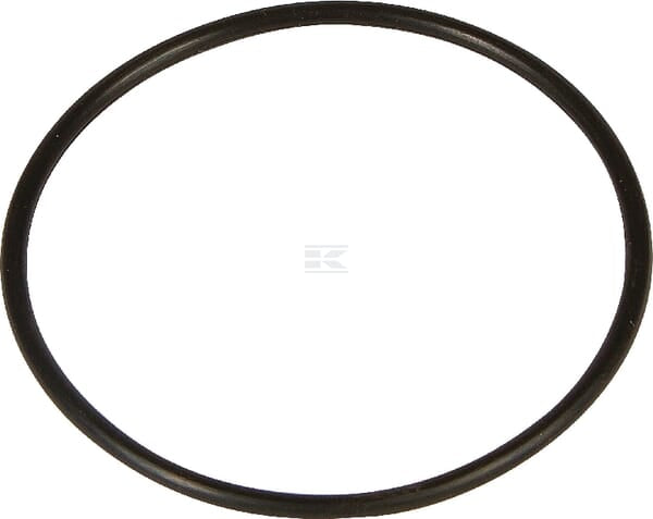 O-Ring