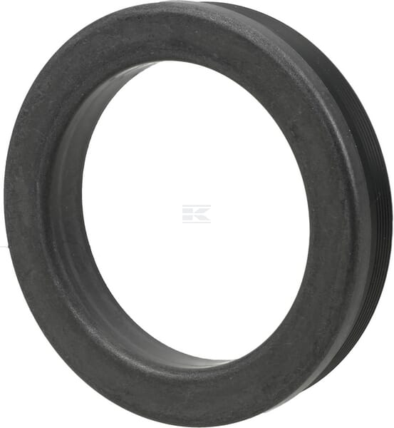 Dichtring