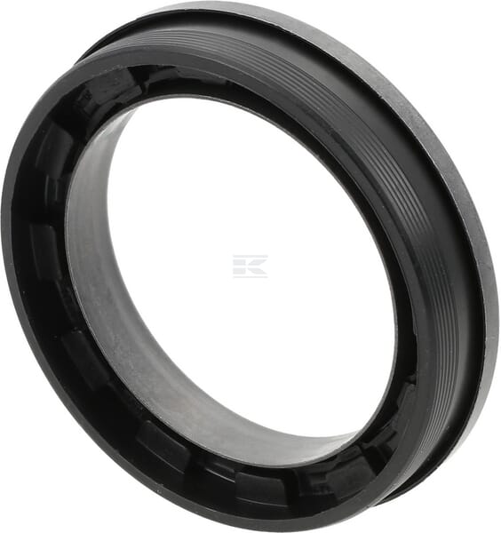Dichtring