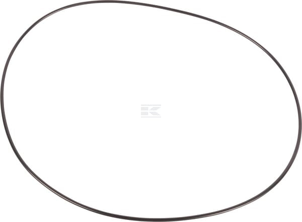 O-Ring
