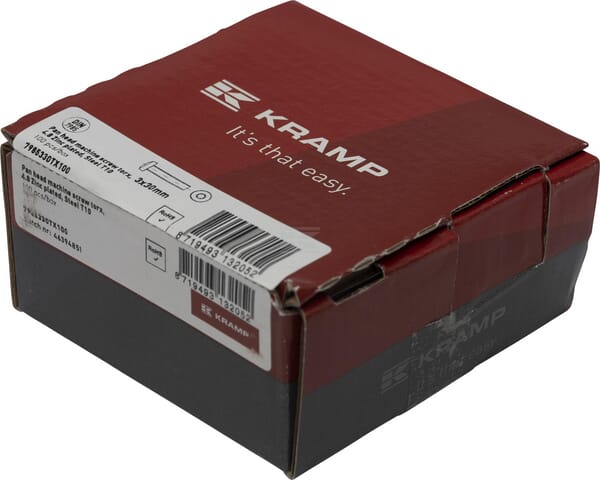 Flachkopf-Maschinenschraube, 3x30, Torx, DIN7985