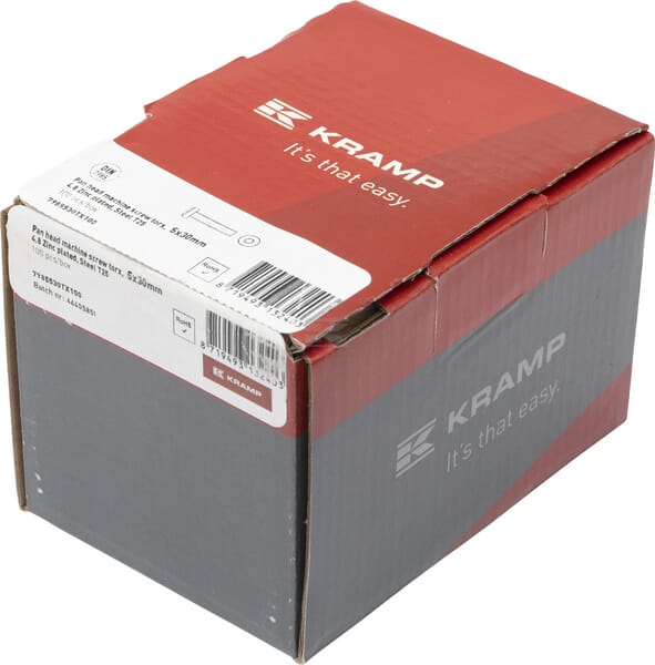 Flachkopf-Maschinenschraube, 5x30, Torx, DIN7985