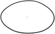 O-Ring Konus unten 8"