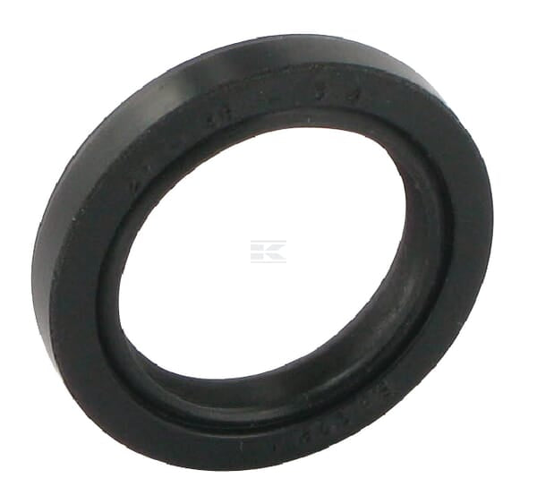 Wellendichtring Eingangsachse NH