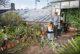 STIHL GHE 135 L