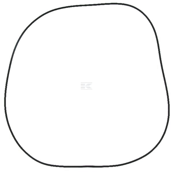 O-Ring NH