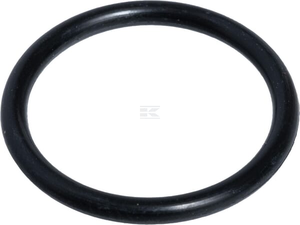 O-Ring