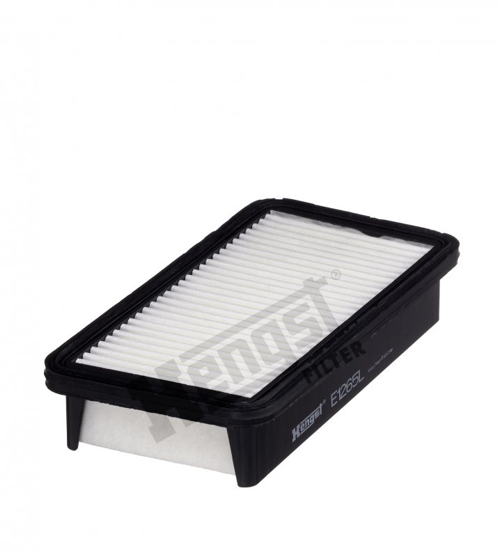 E1265L Luftfilterelement